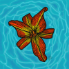 Red Flower on Water
