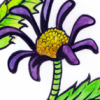 Flower Series 3