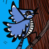 Blue Jays See Saw