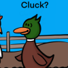Cluck?
