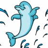 Dolphin Splash